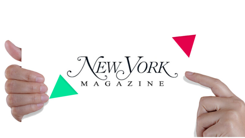 New York Magazine – Trending News Site