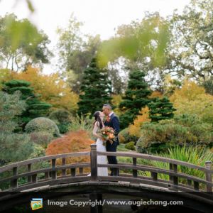 Top 10 Best Photographer In San Francisco, California Augie Chang Photography (1) Top 10 Best Photographer In San Francisco, California Augie Chang Photography (1)