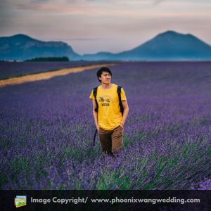 Top 10 Best Photographer In San Francisco, California Phoenix Wang Photography Top 10 Best Photographer In San Francisco, California Phoenix Wang Photography