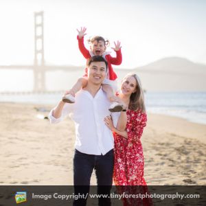 Top 10 Best Photographer In San Francisco, California Tiny Forest Photography (3) Top 10 Best Photographer In San Francisco, California Tiny Forest Photography (3)