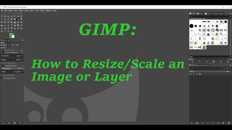 resize image layer gimp Featured Image
