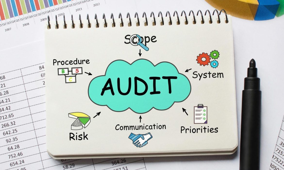 A Step by Step Guide to Make a Good Digital Audit