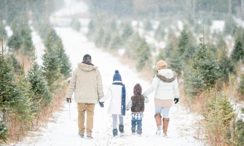 Winter Family Photo Color Schemes